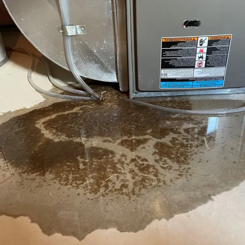 Pipe Burst and Leak Restoration in Sharon, PA
