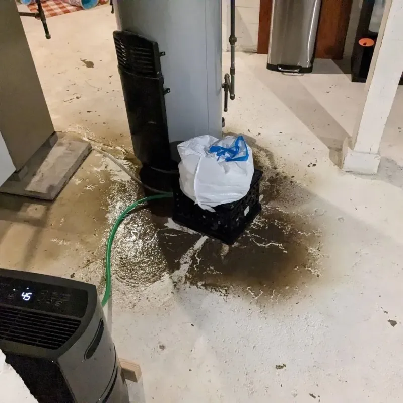 Sewage Backup Cleanup Service in Sharon, PA